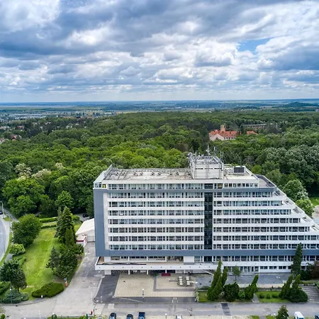 Szieszta